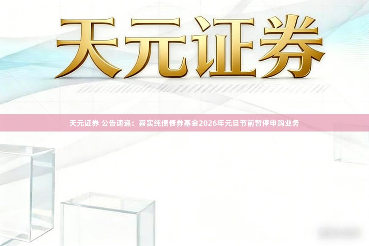 天元证券 公告速递：嘉实纯债债券基金2026年元旦节前暂停申购业务