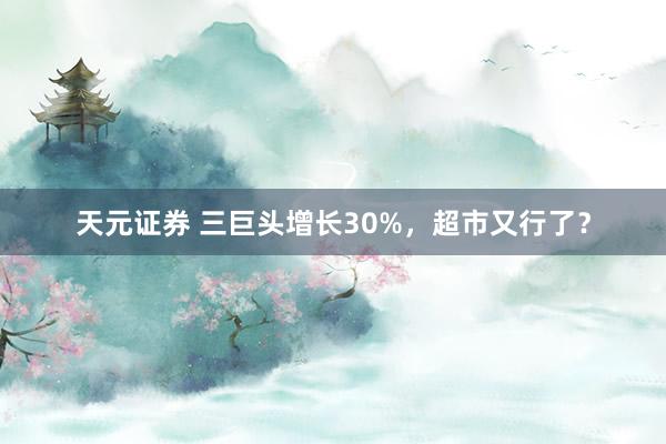 天元证券 三巨头增长30%,超市又行了?